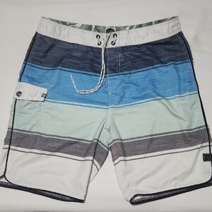 Rip Curl Men's Multicolor Striped Board Shorts